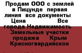 Продам ООО с землей в Пицунде, первая линия, все документы › Цена ­ 9 000 000 - Все города Недвижимость » Земельные участки продажа   . Крым,Красногвардейское